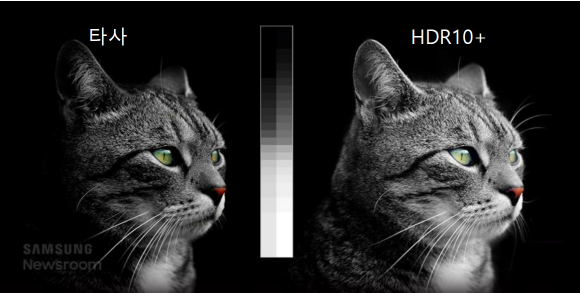 HDR10+ 기술 적용 비교
