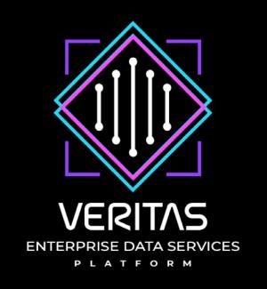 베리타스 엔터프라이즈 데이터 서비스 플랫폼, VM웨어 환경 지원