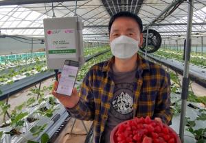 LG유플러스-그린랩스, ‘보급형 스마트팜’ 서비스 선봬.…속초 딸기 농가에 무상 공급