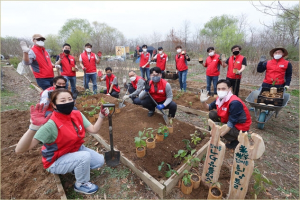 지난 2일 LG유플러스 임직원이 서울 노을공원 자람터에서 도토리나무를 옮겨 심고 있다.