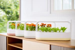 LG전자, 식물생활가전 ‘LG 틔운 미니’ 파스텔톤 신제품 출시